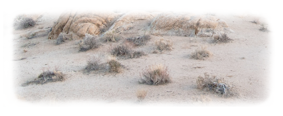 desert 2